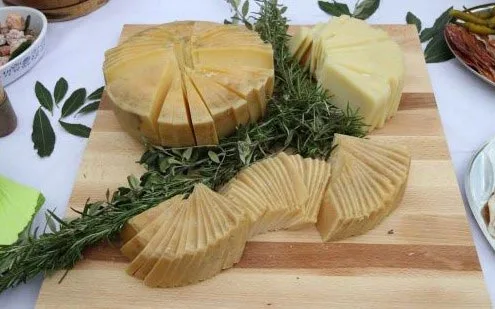 Krk cheese — the island's famous sharp sheep milk cheese