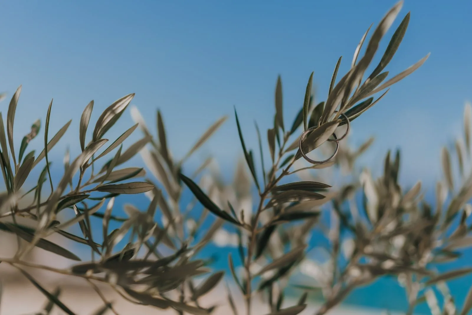 Benjamin and Anna Haller — wedding day at Villa Marim, Krk, Croatia