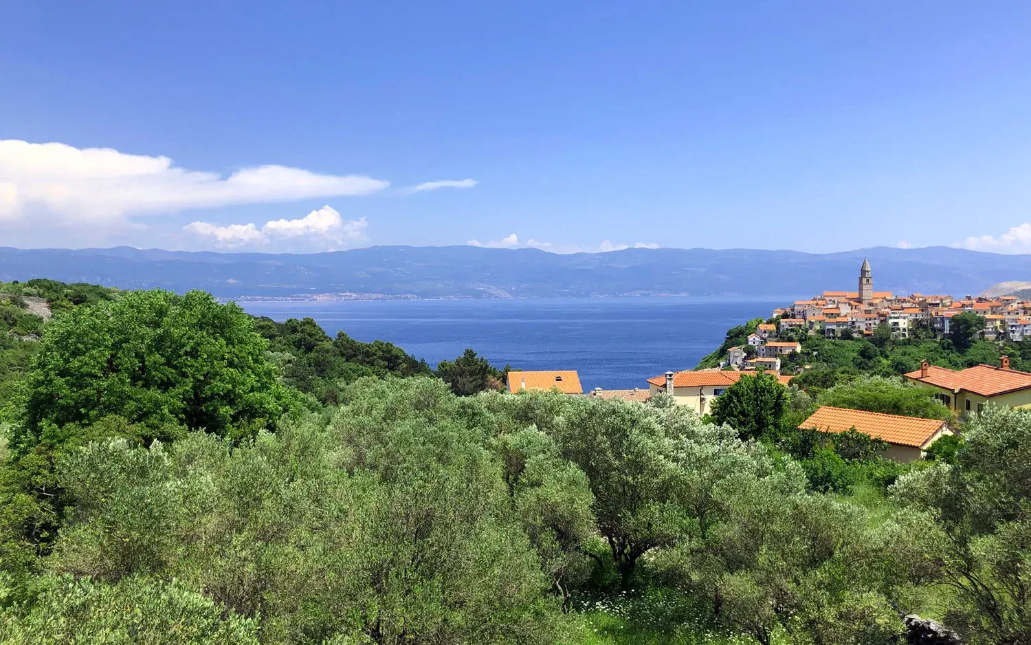 Villa Moana and Villa Manatis, Vrbnik, Krk