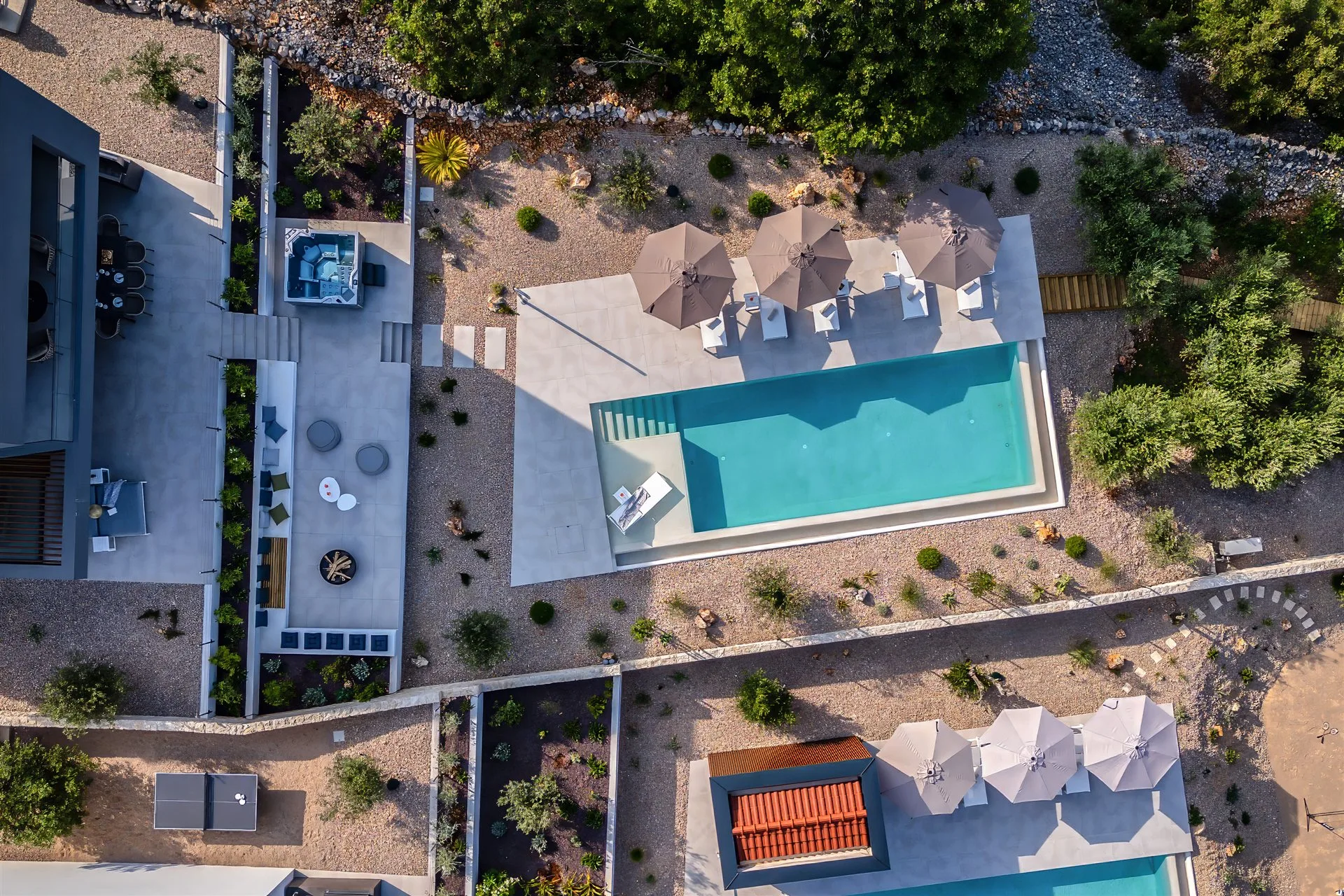 Villa Moana — aerial view of the 12-metre infinity pool among ancient olive trees