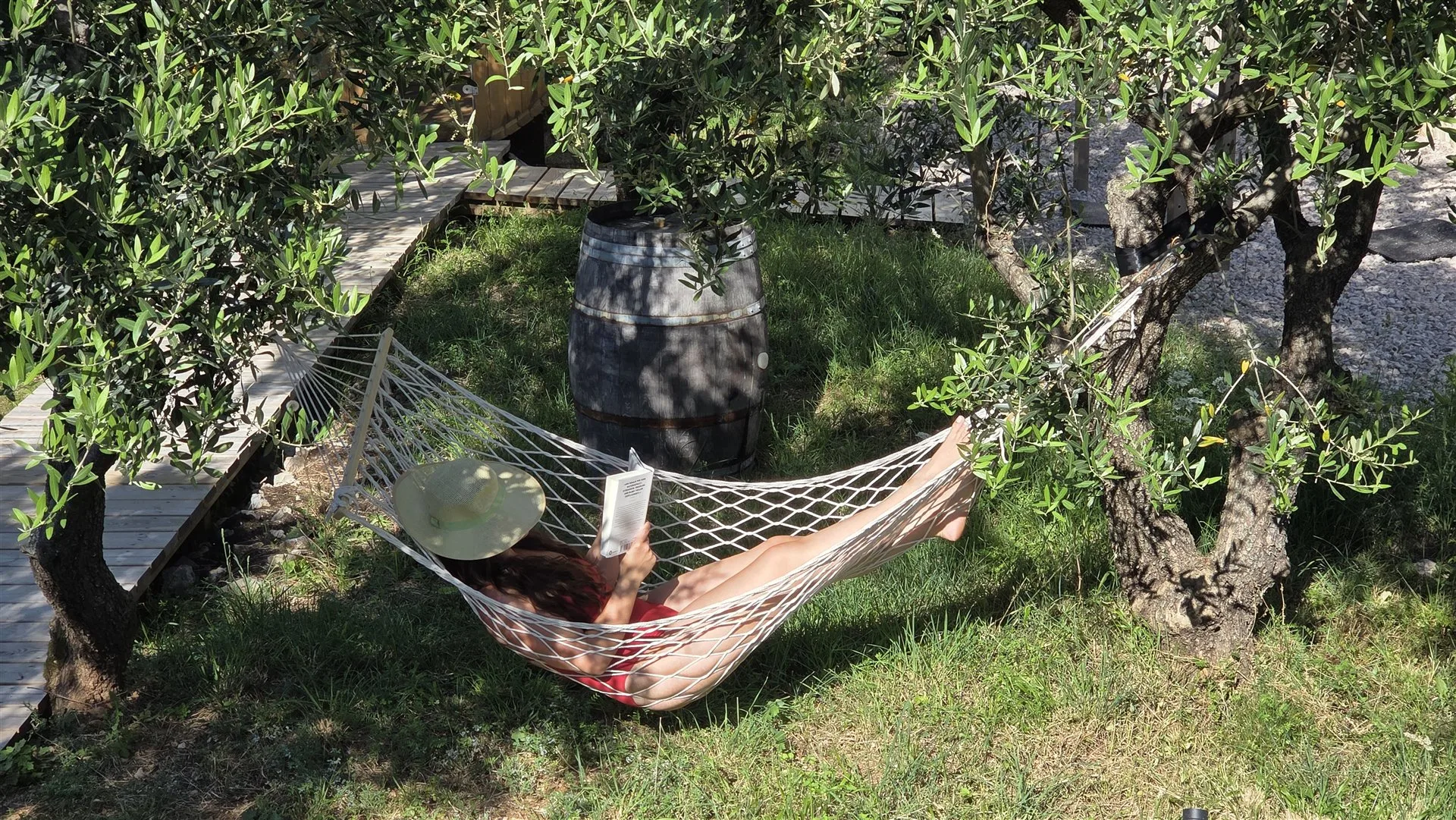 Hammock among 300-year-old olive trees — Villa Moana estate