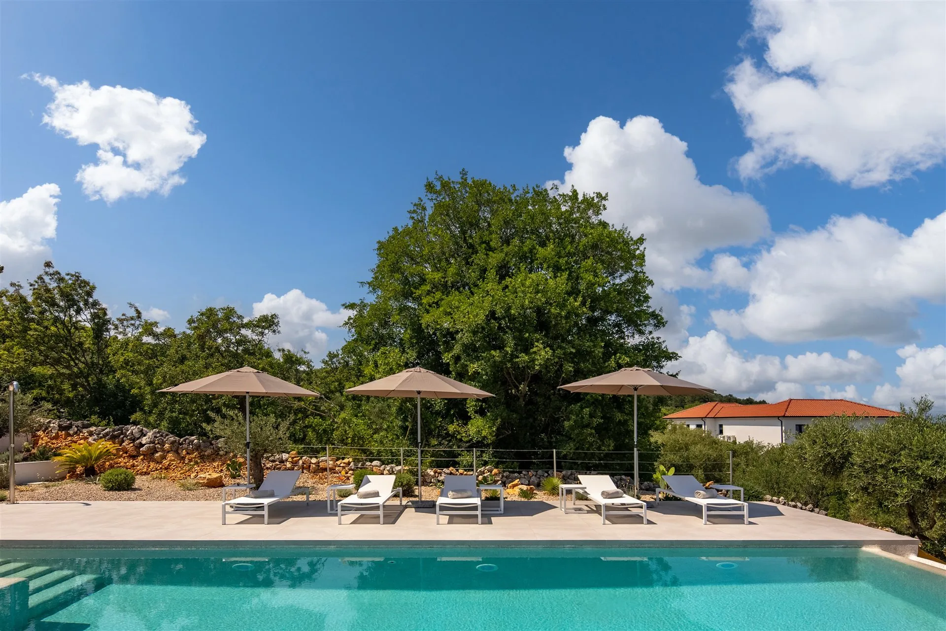 Villa Moana pool with sunbeds and umbrellas beneath ancient olive trees